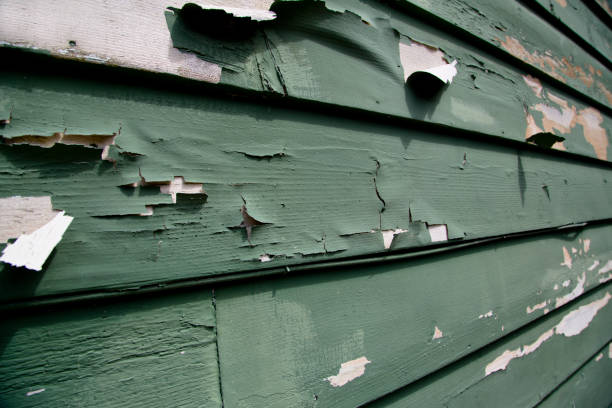 Affordable siding repair and maintenance services in Southfield, MI
